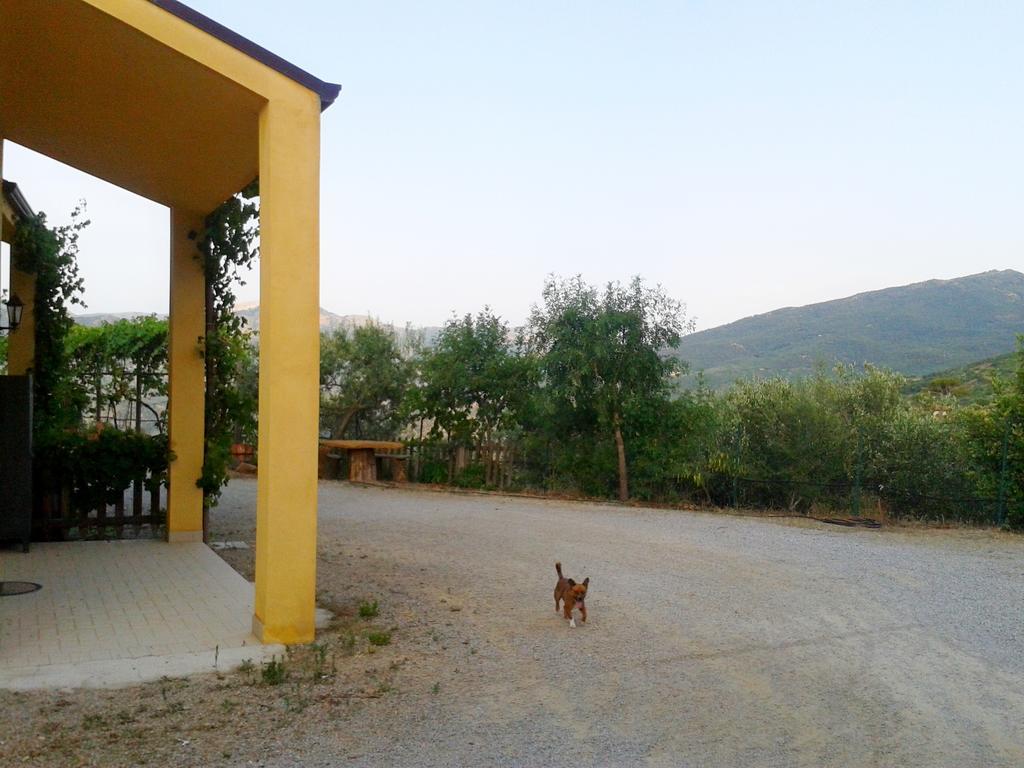 Villaggio Dei Balocchi กัสเตลบูโอโน ภายนอก รูปภาพ
